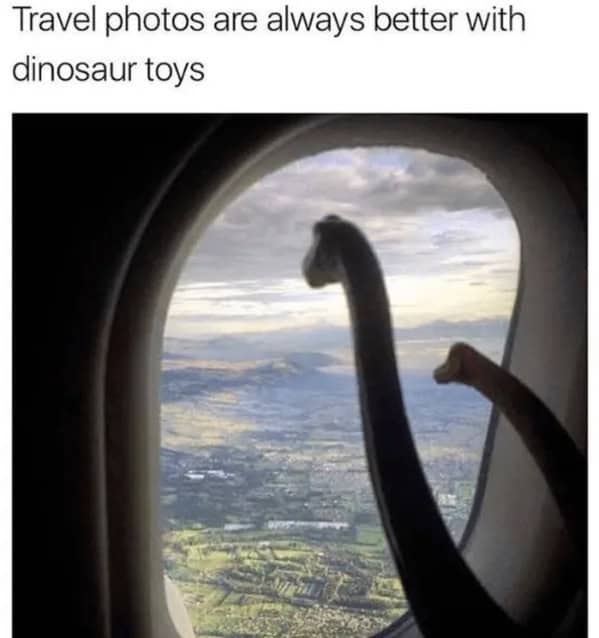 wholesome memes, heartwarming memes, uplifting memes, positivity memes, feel-good memes, encouraging images, good vibes, feel-good vibes, heartwarming posts, comforting humor, sunday scaries, weekend dread, back-to-work blues