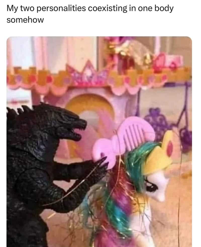 women memes, female memes, womanhood memes, relatable memes, relatable humor, female empowerment, womanhood humor, feminist memes, women’s experiences