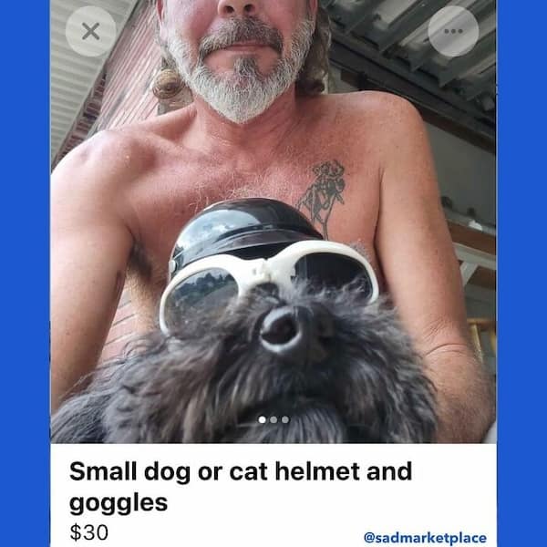 Small dog or cat helmet and goggles