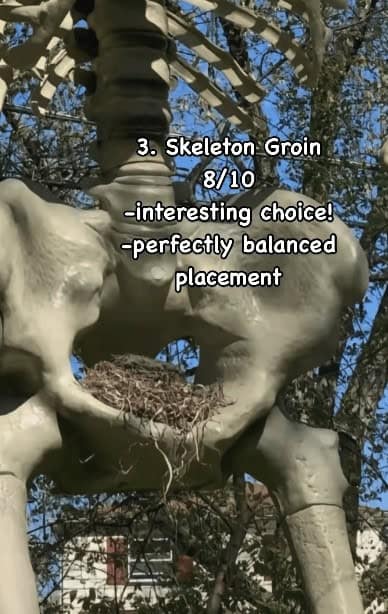 3. Skeleton Groin 8/10 -interesting choice! -perfectly balanced placement