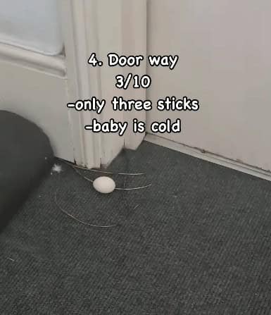 4. Door way 3/10 -only three sticks -baby is cold