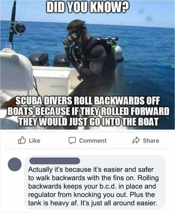 you missed the joke, oversight on the punchline, lost on the humor, comedic blind spot, satire fails, sarcasm flops, irony faceplants, comedic misfires, parody confusion, spoof perplexity, imitation illusions, mimic misunderstandings