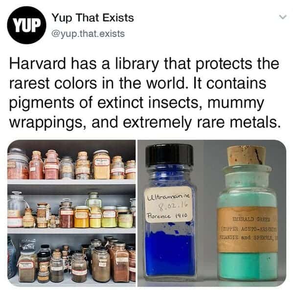 Harvard has a library that protects the rarest colors in the world. It contains pigments of extinct insects, mummy wrappings, and extremely rare metals.