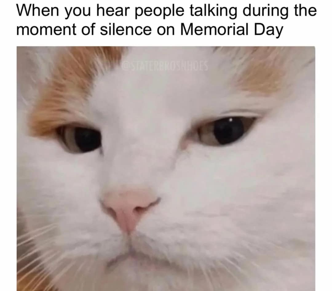 2025 memorial day memes, memorial day memes, memorial day weekend memes, memorial weekend memes, memorial day jokes, bbq memes, cookout memes, patriotic memes, military remembrance memes, holiday honor memes