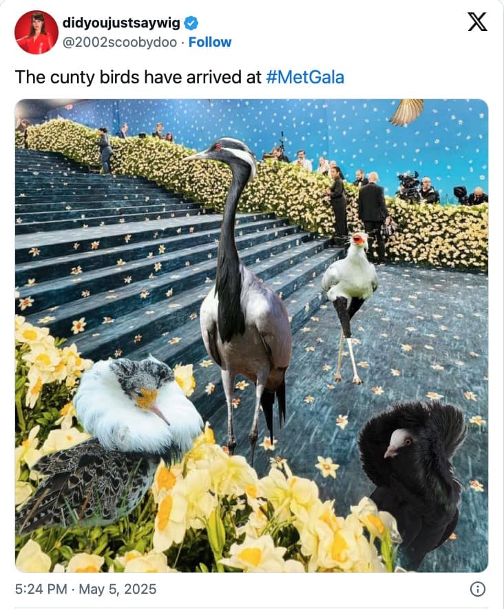 met gala 2025 memes, met gala memes, celebrity fashion memes, red carpet memes, Met Gala jokes, 2025 met gala memes, 2025 met gala, star outfit jokes, celebrity clothing fails, famous people fashion humor, award show memes, fashion event jokes, celebrity style fails, fashion humor, gala event memes, Met Gala funny moments