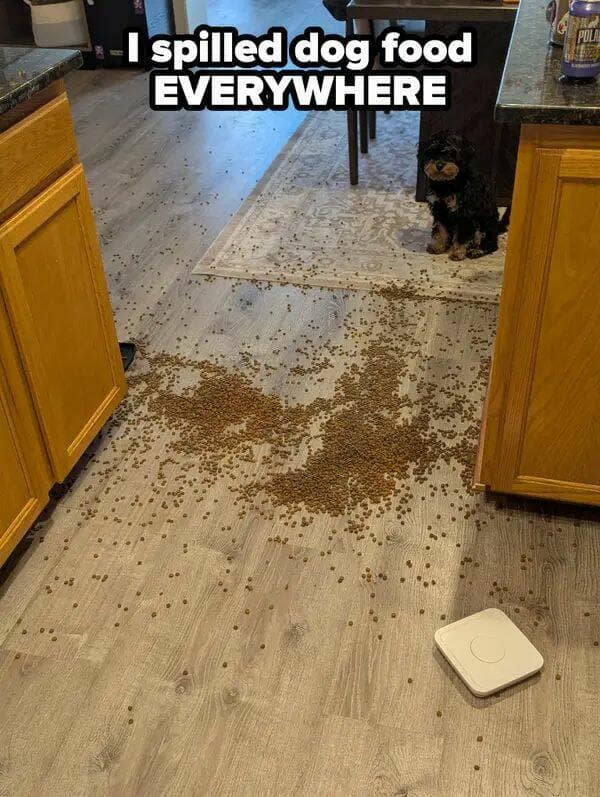 bad day photos, funny fails, fail photos, epic fails, funny fail memes, bad day memes, fail pictures, funny fails, awkward photos, disaster pics, photo fails, hilarious fails, instant regret photos, unlucky day memes, cringe photos, relatable fails, bad luck images, worst day ever memes, epic fail photos, funny disaster pics, comedy fails