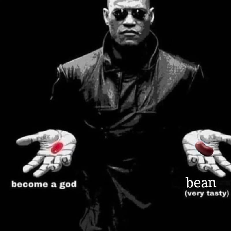 beans meme, bean memes, bean recall, beans recall, baked beans recall, baked beans, food memes, bean jokes, legume memes, bean humor, canned beans memes