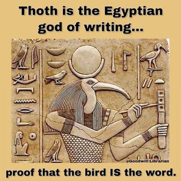 bird memes, birb, funny bird memes, birb memes, animal memes, avian memes, parrot memes, owl memes, penguin memes, pigeon memes, feathered humor, bird jokes, bird reaction memes, chirp memes, winged comedy, bird pics