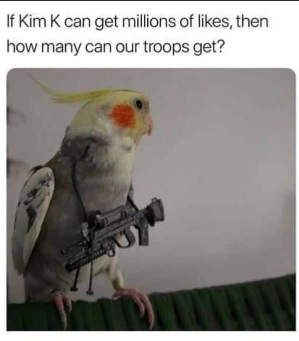 bird memes, birb, funny bird memes, birb memes, animal memes, avian memes, parrot memes, owl memes, penguin memes, pigeon memes, feathered humor, bird jokes, bird reaction memes, chirp memes, winged comedy, bird pics