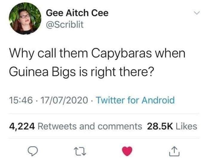 classic memes, vintage memes, viral tweets, internet memes, funny memes, evergreen memes, meme classics, nostalgic memes, timeless memes, old memes, best memes
