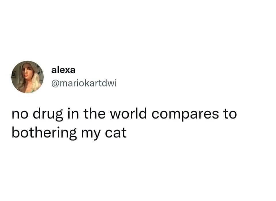classic memes, viral tweets, vintage memes, internet memes, funny memes, timeless memes, throwback memes, evergreen memes, meme classics, nostalgic memes, meme templates, viral jokes, tweet screenshots, online humor, old memes, best memes