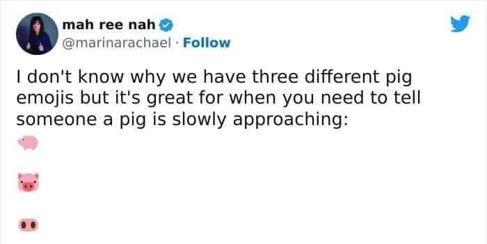 mah ree nah @marinarachael • Follow I don't know why we have three different pig emojis but it's great for when you need to tell someone a pig is slowly approaching: