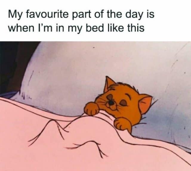 My favourite part of the day is when I'm in my bed like this