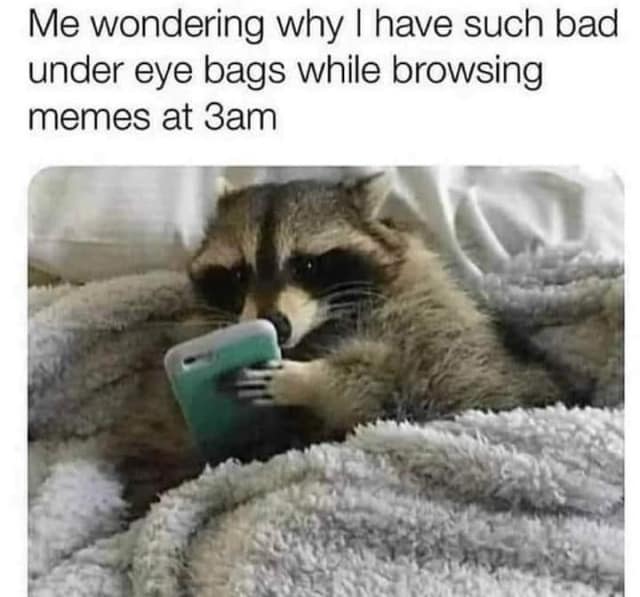 Me wondering why I have such bad under eye bags while browsing memes at 3am