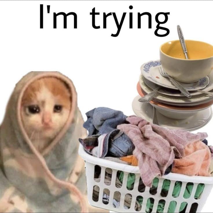 I'm trying