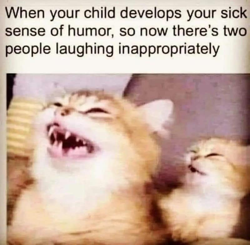 classic memes, vintage memes, viral tweets, internet memes, meme classics, evergreen memes, nostalgic memes, timeless memes, reaction memes, old school memes, old memes, iconic memes, throwback memes, popular memes, meme templates, retro humor, legacy memes, internet classics, meme history, funny memes, long-lasting memes, best memes