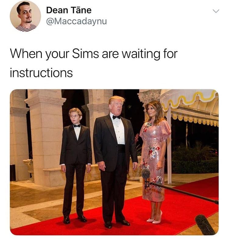 Dean Tane @Maccadaynu When your Sims are waiting for instructions