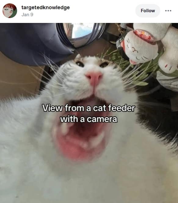 classic memes, vintage memes, viral tweets, internet memes, funny memes, timeless memes, evergreen memes, nostalgic memes, meme classics, throwback memes, old memes, best memes