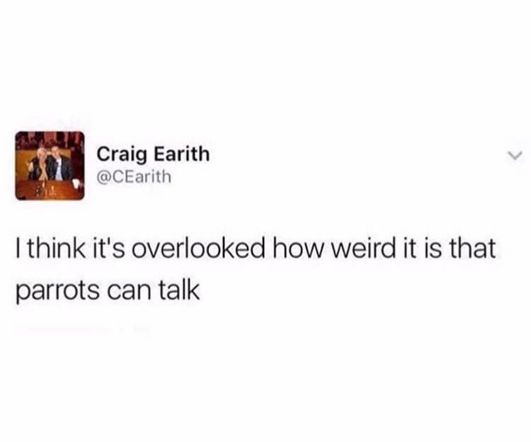 Craig Earith @CEarith I think it's overlooked how weird it is that parrots can talk