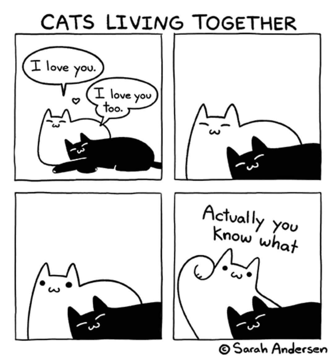 CATS LIVING TOGETHER (I love you. I love you too. Actually you Know what © Sarah Andersen