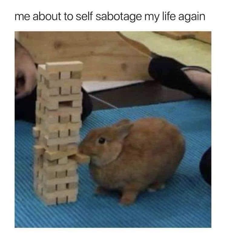 me about to self sabotage my life again