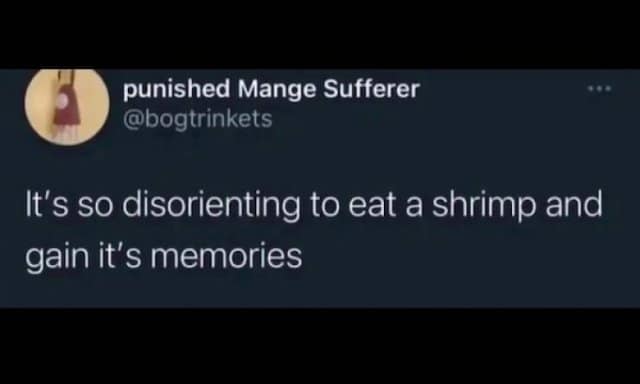 punished Mange Sufferer @bogtrinkets It's so disorienting to eat a shrimp and gain it's memories