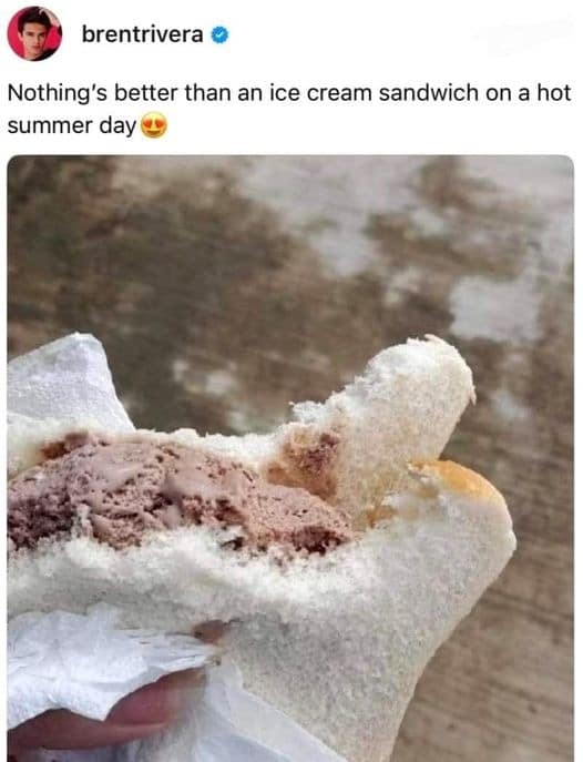 brentrivera o Nothing's better than an ice cream sandwich on a hot summer day