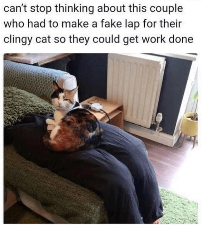 classic memes, vintage memes, viral tweets, internet memes, evergreen memes, meme classics, nostalgic memes, timeless memes, old school memes, throwback humor, vintage memes, iconic memes, reaction memes, template memes, retro memes, popular memes, old memes, best memes