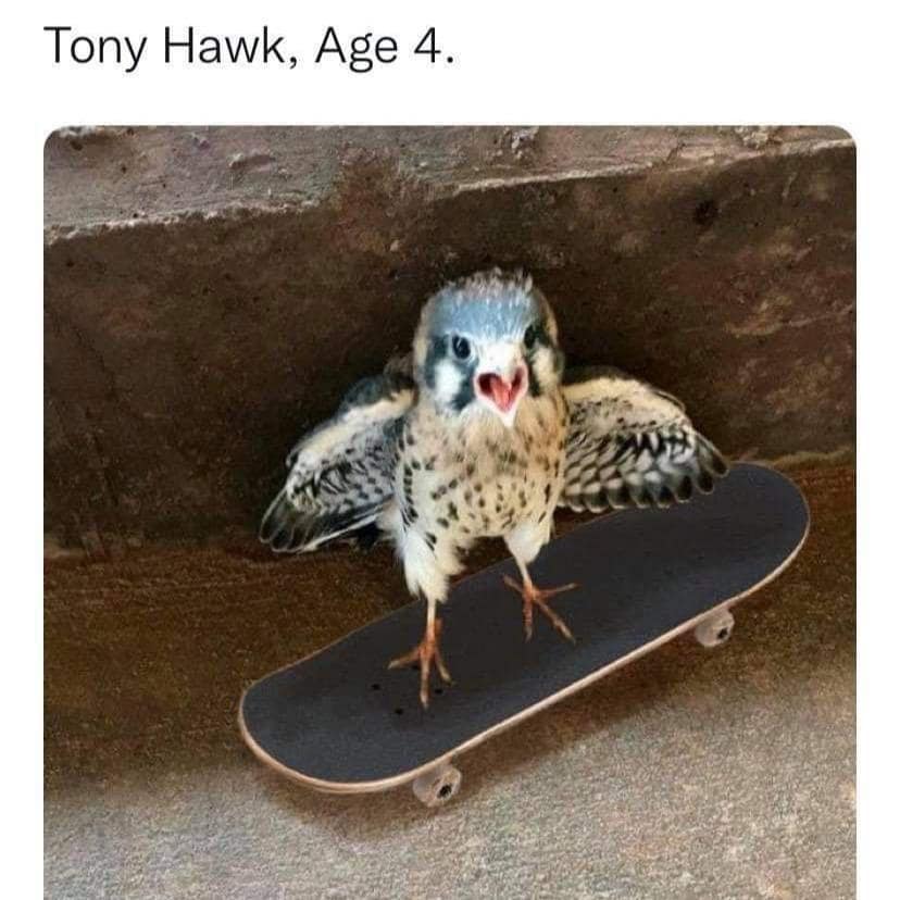 classic memes, vintage memes, viral tweets, internet memes, evergreen memes, meme classics, nostalgic memes, timeless memes, old school memes, throwback humor, vintage memes, iconic memes, reaction memes, template memes, retro memes, popular memes, old memes, best memes