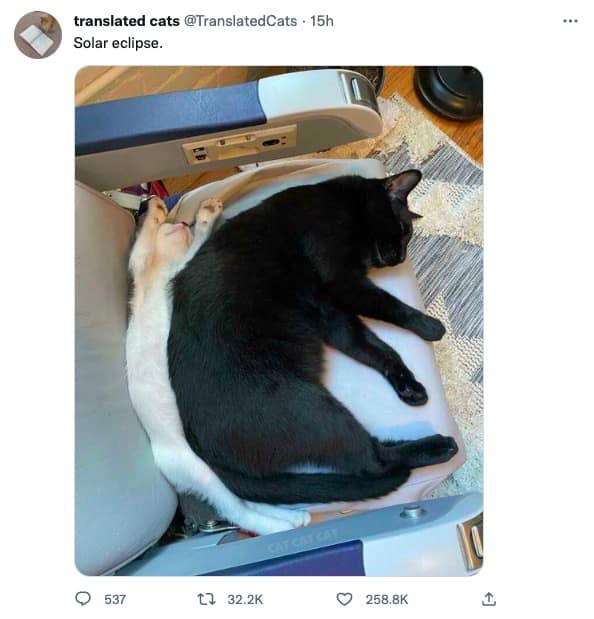 classic memes, vintage memes, viral tweets, internet memes, evergreen memes, meme classics, nostalgic memes, timeless memes, old school memes, throwback humor, vintage memes, iconic memes, reaction memes, template memes, retro memes, popular memes, old memes, best memes