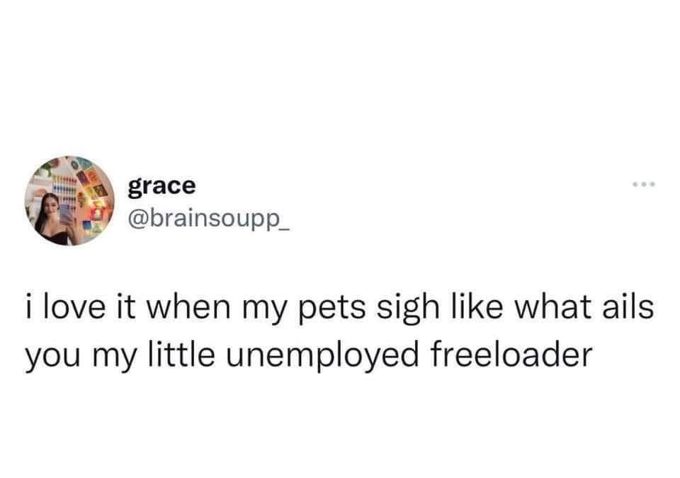 grace @brainsoupp_ i love it when my pets sigh like what ails you my little unemployed freeloader