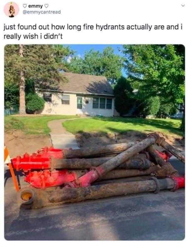 © emmy V @emmycantread just found out how long fire hydrants actually are and i really wish i didn't