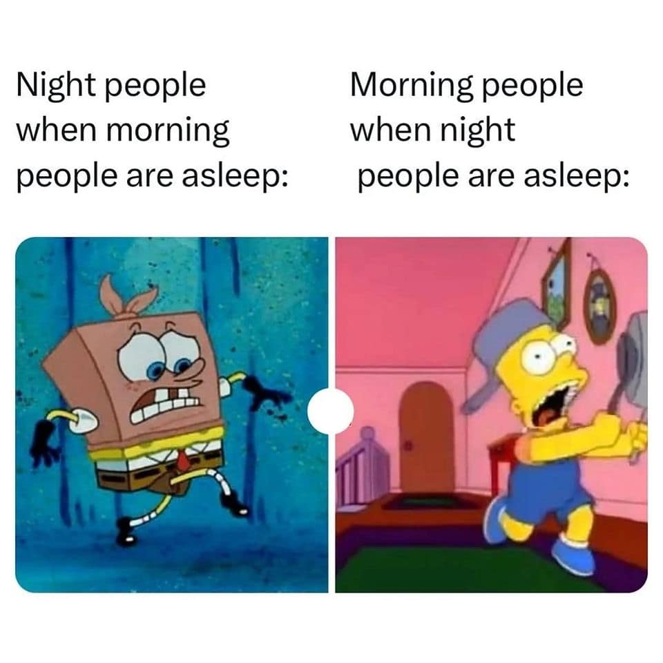 Night people when morning people are asleep: Morning people when night people are asleep: