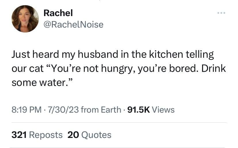 internet memes, timeless memes, nostalgic memes, evergreen memes, legendary memes, vintage internet jokes, old memes, best memes