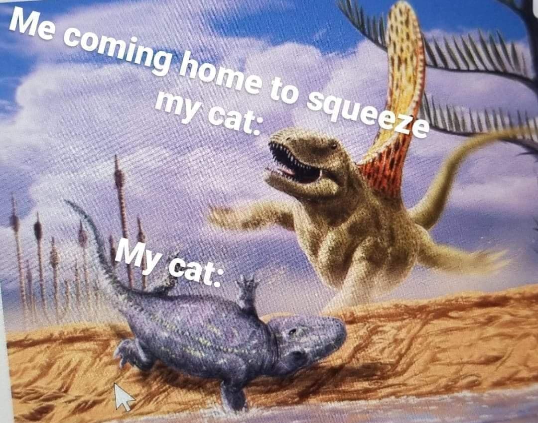 internet memes, timeless memes, nostalgic memes, evergreen memes, legendary memes, vintage internet jokes, old memes, best memes