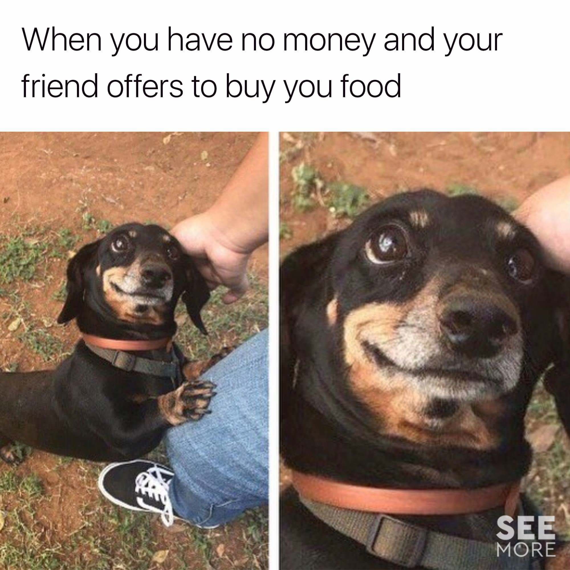 classic memes, vintage memes, viral tweets, internet memes, funny memes, meme classics, evergreen memes, nostalgic memes, timeless memes, old memes, old memes, best memes, reaction memes, throwback memes, iconic memes, meme templates, retro memes, popular memes, viral memes, online humor, internet classics, social media memes