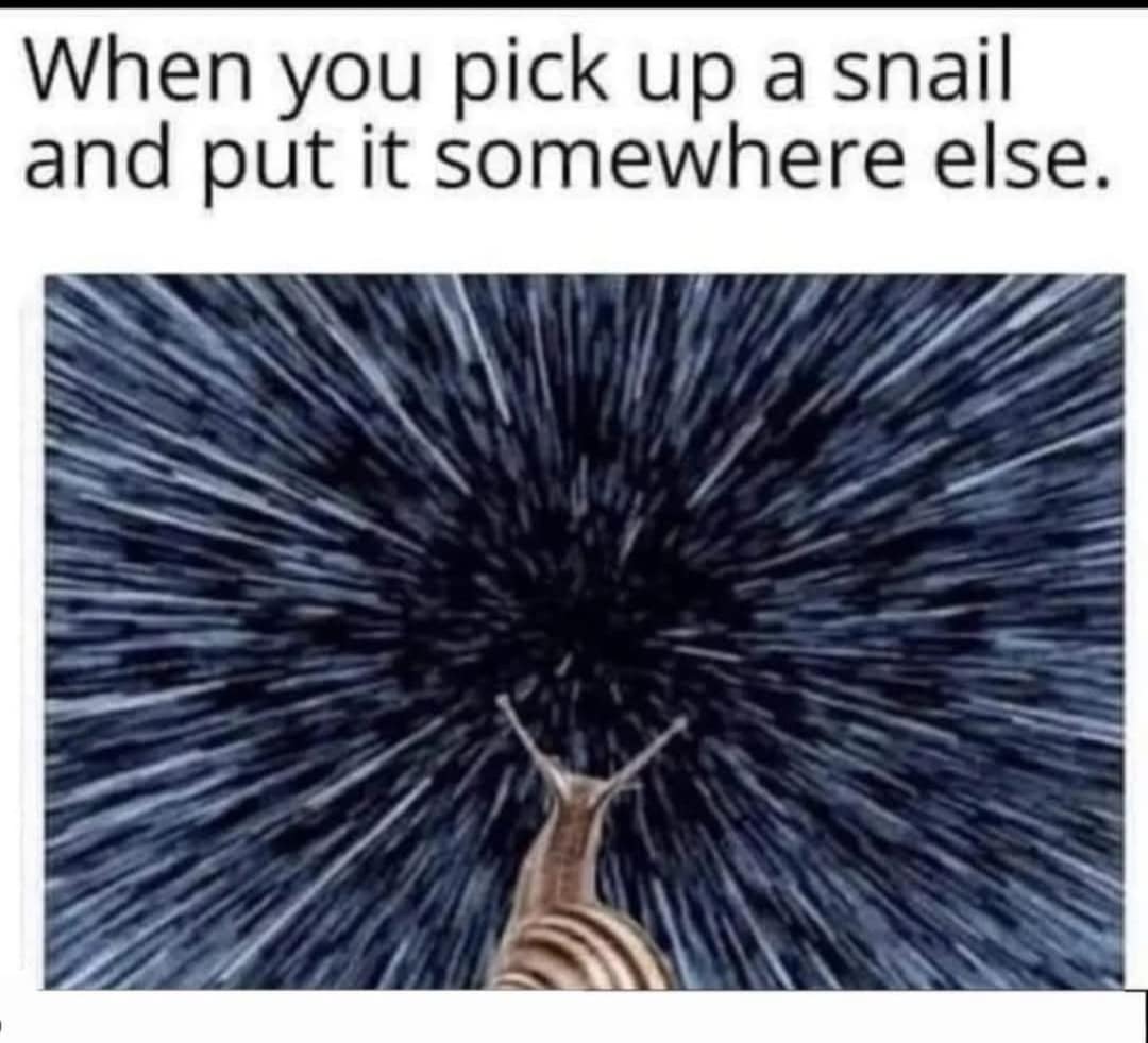 classic memes, vintage memes, viral tweets, timeless memes, nostalgic memes internet memes, viral memes, trending memes, popular memes, funny memes, hilarious memes, comedic memes, amusing memes, relatable memes, everyday memes, life memes, social memes, best memes, old memes
