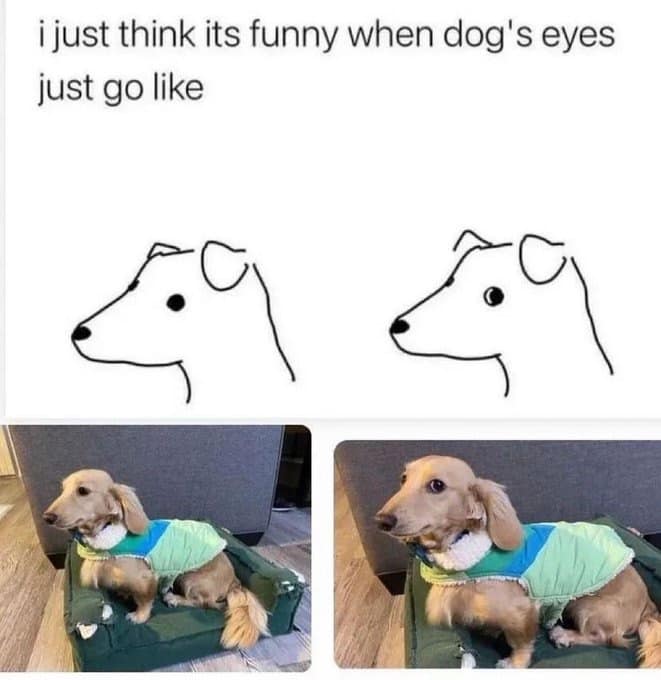 classic memes, vintage memes, viral tweets, timeless memes, nostalgic memes internet memes, viral memes, trending memes, popular memes, funny memes, hilarious memes, comedic memes, amusing memes, relatable memes, everyday memes, life memes, social memes, best memes, old memes