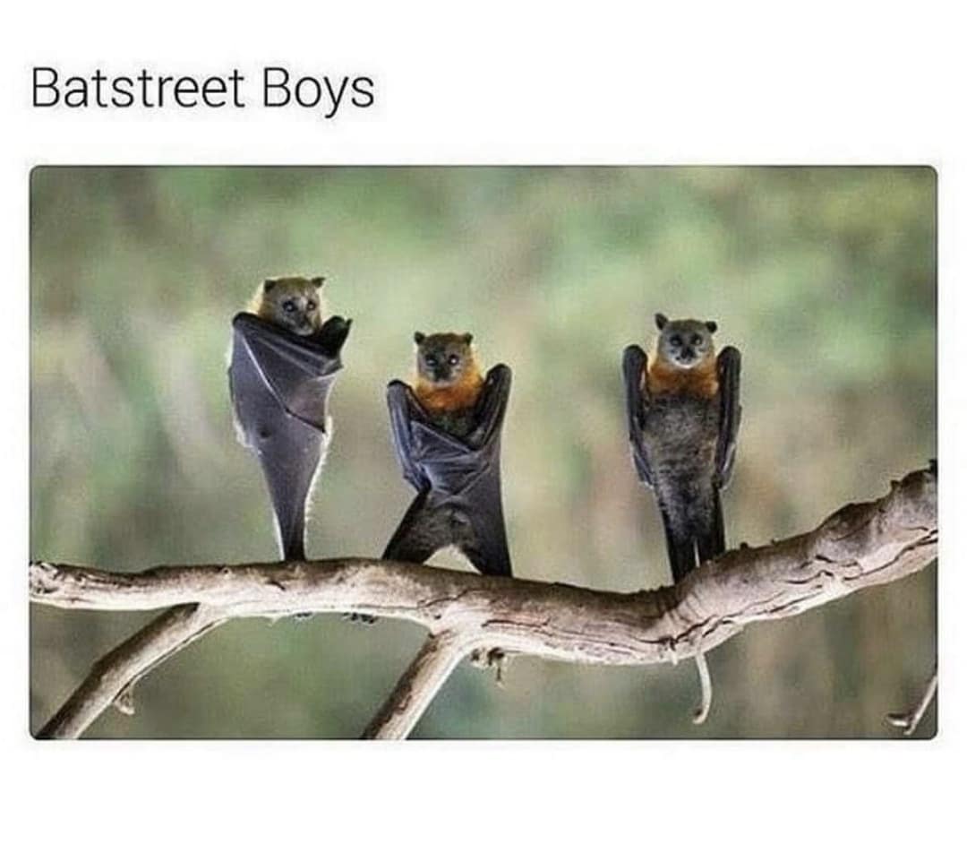 classic memes, vintage memes, viral tweets, internet memes, funny memes, timeless memes, evergreen memes, nostalgic memes, meme classics, old memes, best memes