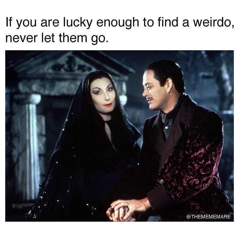 internet memes, timeless memes, nostalgic memes, evergreen memes, legendary memes, vintage internet jokes, old memes, best memes