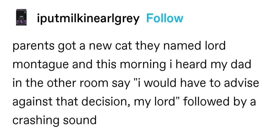 classic memes, vintage memes, viral tweets, internet memes, funny memes, timeless memes, evergreen memes, nostalgic memes, meme classics, old memes, best memes