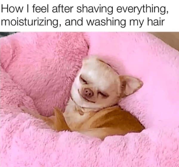 How I feel after shaving everything, moisturizing, and washing my hair