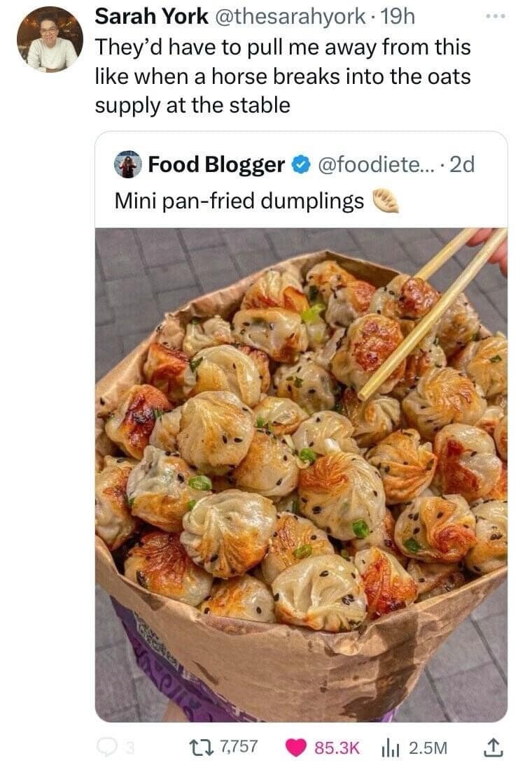 Sarah York @thesarahyork • 19h They'd have to pull me away from this like when a horse breaks into the oats supply at the stable * Food Blogger © @foodiete.... 2d Mini pan-fried dumplings 17 7,757 • 85.3K 1 2.5M