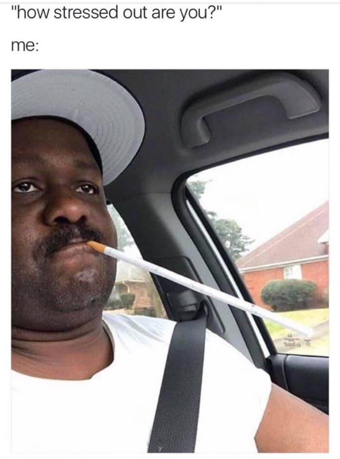 "how stressed out are you?" me: