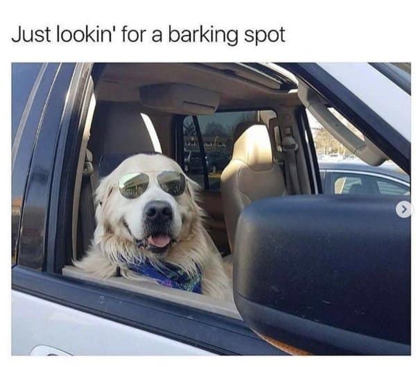 classic memes, vintage memes, viral tweets, meme nostalgia, internet humor, throwback memes, relatable memes, funny posts, old memes, timeless memes, meme classics, retro memes, old memes, best memes