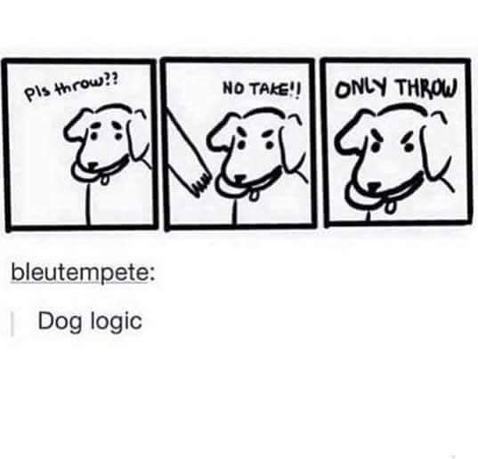 classic memes, vintage memes, viral tweets, meme nostalgia, internet humor, throwback memes, relatable memes, funny posts, old memes, timeless memes, meme classics, retro memes, old memes, best memes
