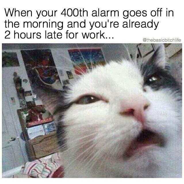 When your 400th alarm goes off in the morning and you're already 2 hours late for work... @thebasicbitchlife