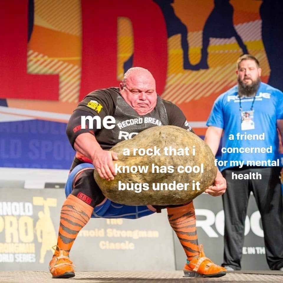 SPI INOLD™ DALD SERE Me SCORD AREA RC a rock that i know has cool bugs under it nold Strongm Classle a friend concerned for my mental health EIN TH