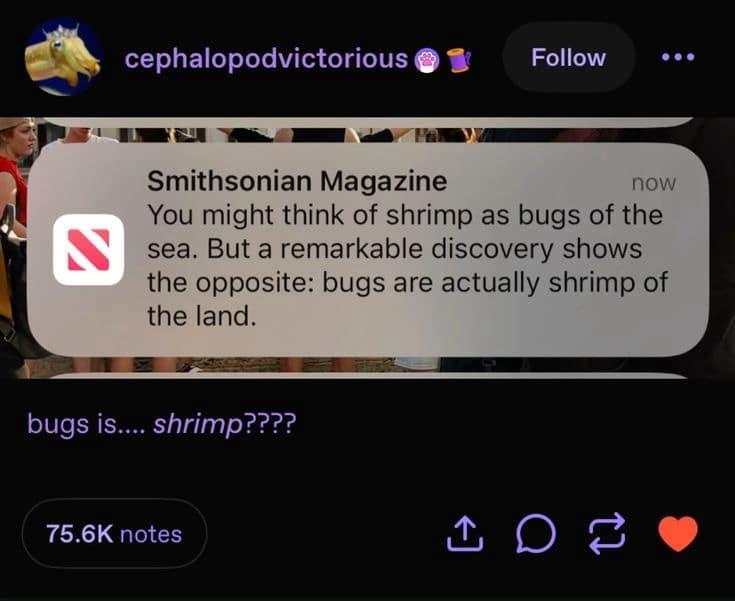 classic memes, vintage memes, viral tweets, meme nostalgia, internet humor, throwback memes, relatable memes, funny posts, old memes, timeless memes, meme classics, retro memes, old memes, best memes