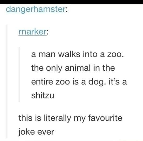 dangerhamster: rnarker: a man walks into a zoo. the only animal in the entire zoo is a dog. it's a shitzu this is literally my favourite joke ever